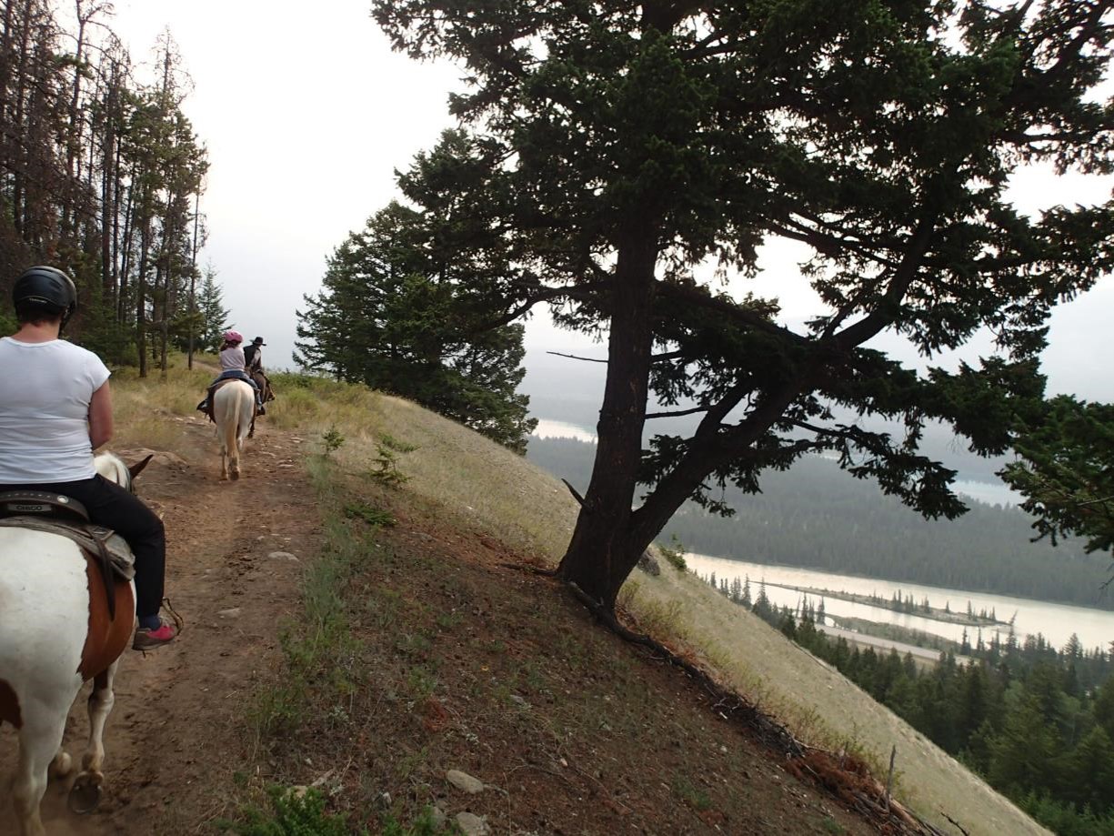 Hourseback Ride in Jasper